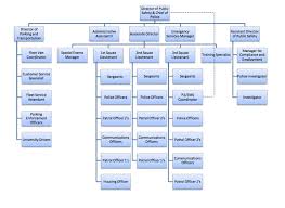 organization chart villanova university