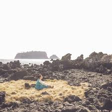 Related keywords:vitamin, cactus vitamin, vitamin pill, nutrient additives, health food, functional madicine, health supplement, organic vitamin. Why You Should Know About Jeju Island The Hawaii Of Asia