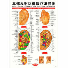 Whole Body English Acupuncture Meridian Acupressure Points Poster Chart Wall Map