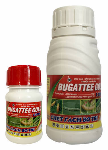 Bugatteegold 120SC