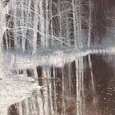 Image result for Oreobambos