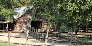 Here you can enjoy hiking, biking or bird watching in the quiet while watching wildlife. About Us Gloster Ms Cabins Brushy Creek Ranch