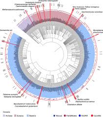 We did not find results for: Current Status And Applications Of Genome Scale Metabolic Models Genome Biology Full Text