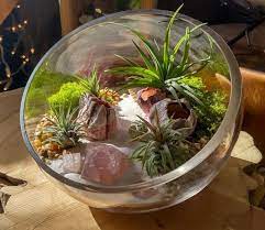 Rose Quartz Fine White Sand And Orange Pebbles Inside Half A Sphere Glass Terrarium With Moss And Airplants Air Plants Air Plant Terrarium Terrariums Kits
