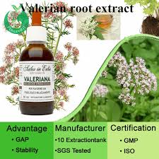 Kediotu Koku Ekstresi Valeriana Officinalis Ozu Kediotu Buy Kediotu Kediotu Koku Ozu Kediotu Product On Alibaba Com