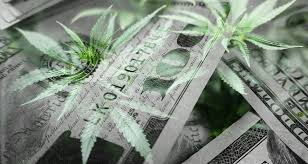 A carbon monoxide detector is a small appliance that warns people about the presence of carbon monoxide, a deadly gas. Staying Safe And Compliant With Proper Cannabis Security Business And Home Security Solutions Northeast Ohiostay Safe And Compliant With Proper Cannabis Security Protech Security