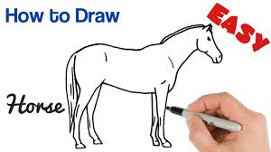 Our lesson on 'how to draw a horse' is a step by step demonstration of the pencil drawing technique involved in creating the image of a rearing horse. How To Draw A Horse Easy Step By Step Drawing Youtube