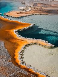 Thermophile Zone Upper Geyser Basin Yellowstone National Park Wyoming Usa Yellowstone National Park National Parks Yellowstone Park