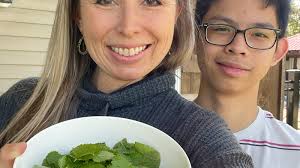 Fresh Lemon Balm Cold Infusion