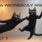 Wednesday Night Hop in Tokyo event image