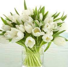 What are women's favorite flowers. 5 Most Popular Mothers Day Flowers You Must Choose Gifting Your Momma