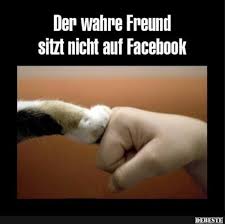 Besten Bilder Videos Und Spruche Und Es Kommen Taglich Neue Lustige Facebook Bilder Auf Debeste De Hier Werden Taglich Witz Katzen Zitate Lustig Spruch Katze