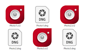 There are several.cr2 file converters offered on the internet. How To Convert Cr2 To Dng In Lightroom Converter365 Com