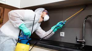 North Dallas Pest Control Solutions | Clutch Pest Control