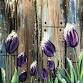 Paint with Ashley Blake “Snow Tulips” Paint Night