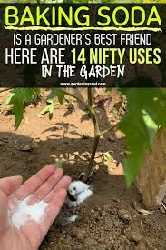 Baking Soda Is A Gardener S Best Friend Here Are 14 Nifty Uses In The Garden Vegetable Garden Diy Garden Fertilizer Vegetable Garden Design