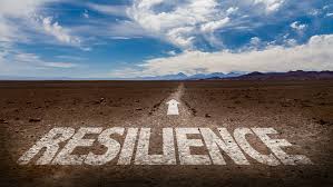 In ecologia e biologia, la resilienza è la capacità della materia vivente di autoripararsi dopo un danno, o quella di una comunità o di un sistema ecologico di ritornare al suo stato iniziale. Come Applicare Il Concetto Di Resilienza In Ufficio Counseling Positivo