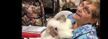 Exhibitor's Responsibilities At The Cat Show