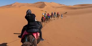 A morocco camel trekking tour will take you on an unforgettable adventure to discover the sahara desert and spend nights in the middle of nowhere. Sahara Tours Trek Camel Desert Tours Hiking Holiday For Real Voyage