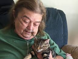 Sharon Lee Sinnott Obituary October 26, 2016