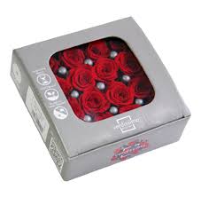 We also carry trendiest and most unique flowers and gifts including our ever popular preserved flowers imported all the way from japan, romantic flowers in a box from our boxed blooms collection, and monthly specials of birthstone flower collections. Buy Preserved Rose Princess Verdissimo