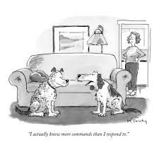I Actually Know More Commands Than I Respond To New Yorker Cartoon Premium Giclee Print By Mike Twohy Art Co Cartoon Dog Cute Dog Cartoon Cartoon Animals