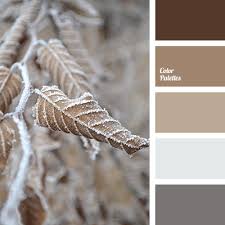 Warm Palettes Color Palette Ideas Bedroom Colors Apartment Color Schemes Room Colors