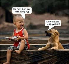 Káº¿t quáº£ hÃ¬nh áº£nh cho hÃ i cháº¿