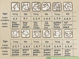 how to read your chinese horoscope 13 steps with pictures