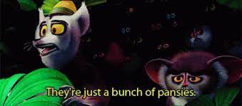 People keep talking about me baby they say i'm doin'. Madagascar Maurice Gif Madagascar Maurice Lemurs Discover Share Gifs Lemur Gif Cool Gifs
