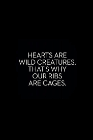 Words Exquisite Words For The Beautifully Broken Copied Imgur Quotes Deep Funny Quotes New Quotes