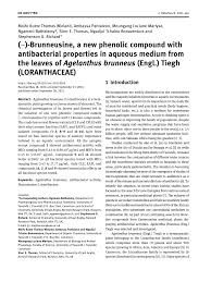 Image result for Agelanthus sp. aff. A. brunneus