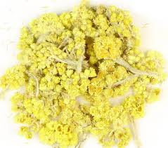 Image result for Helichrysum aureo-nitens