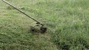 Menutup Mesin Pemotong Rumput Yang Memotong Rumput Taman Stok Video C Volody100 Ukr Net 448335682