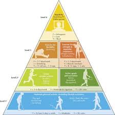 9780736091527 | kostenloser versand für alle bücher mit versand und verkauf . Physical Activity Pyramid