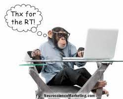 What Monkeys Can Teach Us About Social Media Social Media Teaching Social