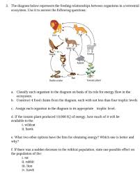 A simple food chain that links producers and consumers in a linear fashion illustrates how energy and matter move through the trophic levels of an ecosystem. 3 The Diagram Below Represents The Feeding Chegg Com