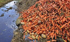 Reducing Food Waste Would Mitigate Climate Change Study Shows Reduce Food Waste Food Waste Food Poverty