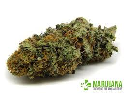 High Cbd Strains Goodbye To Pain Forever Best Guide