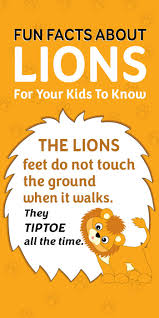Pin On Preschool