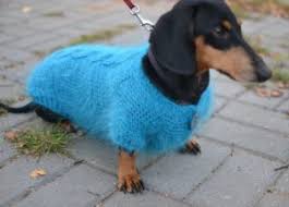Knitted baby hats are an essential accessory, and most of them are quick and easy to make for knitters of any experience level. 15 Dog Sweater And Coat Free Knitting Patterns The Funky Stitch