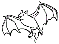 Check spelling or type a new query. Bat Coloring Pages And Printable Activities