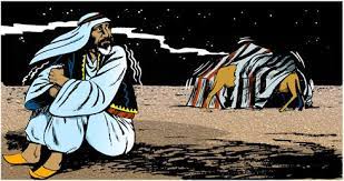 If a camel gets his nose in a tent. Pin On Camels Nose