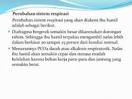 Dalam beradaptasi, berbagai organisme umumnya melakukan penyesuaian untuk mendapatkan makanan (air, udara dan nutrisi), mengatasi kondisi fisik secara sederhana kita dapat melihat contoh adaptasi, seperti sayap burung tertentu yang dapat membuatnya terbang, sistem pernapasan ikan. Perubahan Anatomi Dan Adaptasi Fisiologis Pada Ibu Hamil Trimester I Ii Iii Sistem Penafasan Oleh Sofianti Risa B Ppt Download