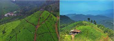 Cukup luas untuk dijadikan sebagai tempat refreshing anda bersama keluarga. Rehat Sejenak Kebun Teh Cipasung Keindahan Di Ujung Majalengka