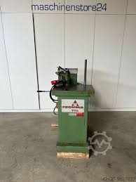 Image result for Frommia