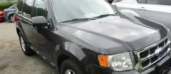 Image result for Green Orchid 2011 Escape