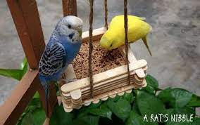 A Rat S Nibble Diy Bird Feeder With Ice Cream Sticks Diy Bird Toys Homemade Bird Toys Bird Toys
