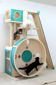 In this video i show you how to make cat wheel from wood. How To Build A Cat Exercise Wheel Diy Projects For Everyone