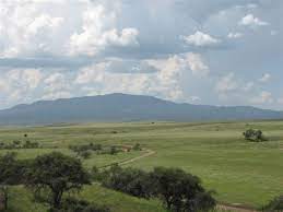 San rafael valley road in coronado national forest, patagonia arizona. 77 Acres San Rafael Valley Az Ranch For Sale In Patagonia Santa Cruz County Arizona 242168 Ranchflip
